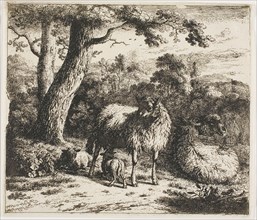 Standing Sheep and Two Lambs, 1685, Jan van der Meer de Jonghe II, Dutch, 1656-1705, Netherlands,