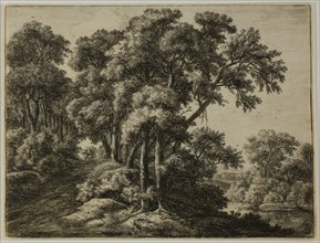 The Wooded Path, n.d., Anthoni Waterlo, Dutch, 1609-1690, Holland, Etching on paper, 153 x 203 mm