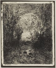Brook in the Clearing, 1862, Charles François Daubigny, French, 1817-1878, France, Cliché-verre on
