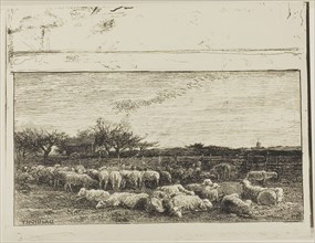 The Large Sheepfold, 1862, Charles François Daubigny, French, 1817-1878, France, Cliché-verre on