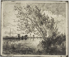 Clump of Alder Trees, 1862, Charles François Daubigny, French, 1817-1878, France, Cliché-verre on