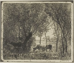 Cows in a Wood, 1862, Charles François Daubigny, French, 1817-1878, France, Cliché-verre on ivory