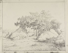 Cherry Tree at Plante à Biau, 1862, Théodore Rousseau, French, 1812-1867, France, Cliché-verre on