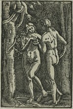 The Fall of Man, from The Fall and Redemption of Man, 1513, Albrecht Altdorfer, German, c