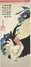 Rooster, umbrella, and morning glories, 1830s, Utagawa Hiroshige ?? ??, Japanese, 1797-1858, Japan,