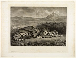 Bengal Tiger, 1829, Eugène Delacroix (French, 1798-1863), printed by E. Ardit (French, act.