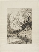 A Pond Near Rousillon, 1867, Adolphe Appian, French, 1818-1898, France, Etching on ivory wove