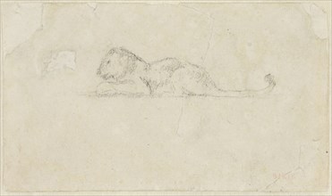 Seated Lioness, n.d., Antoine Louis Barye, French, 1795-1875, France, Graphite on ivory wove paper,