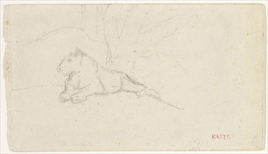 Lioness Lying near a Tree, n.d., Antoine Louis Barye, French, 1795-1875, France, Graphite on ivory