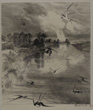 Swallows, 1882, Felix Bracquemond, French, 1833–1914, France, Etching and drypoint on ivory laid