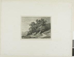 Alpine Landscape, n.d., Alexandre Calame, Swiss, 1810-1864, Switzerland, Etching on paper, 110 x