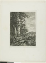 Alpine Landscape, n.d., Alexandre Calame, Swiss, 1810-1864, Switzerland, Etching on paper, 203 x