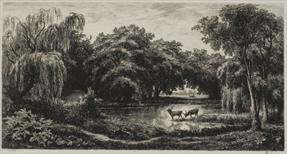 Marsh with Stags, 1845, Charles François Daubigny, French, 1817-1878, France, Etching on ivory