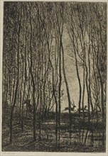 Stags in the Woods, 1850, Charles François Daubigny, French, 1817-1878, France, Etching on cream