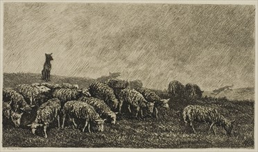 The Dog’s Watch, 1857, Charles François Daubigny, French, 1817-1878, France, Etching on cream