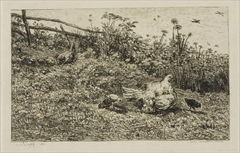 The Hen and her Chicks, c. 1860, Charles François Daubigny, French, 1817-1878, France, Etching on