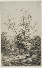 The Orchard, 1868, Charles François Daubigny, French, 1817-1878, France, Etching and drypoint on