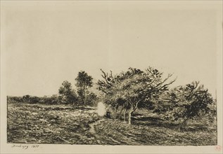 Apple Trees at Auvers, 1877, Charles François Daubigny, French, 1817-1878, France, Etching and