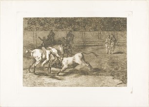 Mariano Ceballos, alias the Indian, kills the bull from his horse, plate 23 from The Art of
