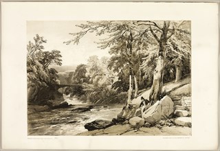 Beech and Ash on the Greta, from The Park and the Forest, 1841, James Duffield Harding (English,