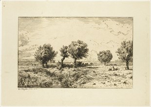 Willows in a Landscape, 1844, Charles Émile Jacque, French, 1813-1894, France, Etching on light