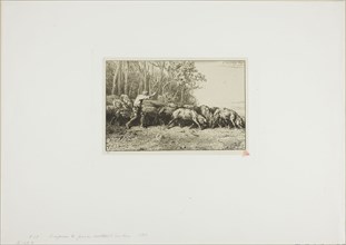 Herd of Swine Coming Out of a Wood, 1849, Charles Émile Jacque, French, 1813-1894, France, Etching