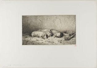 Four Sleeping Pigs, 1850, Charles Émile Jacque, French, 1813-1894, France, Etching and roulette on