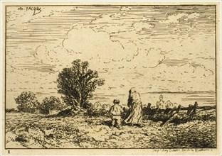 Crossing the Meadow, 1846, Charles Émile Jacque, French, 1813-1894, France, Etching on cream laid