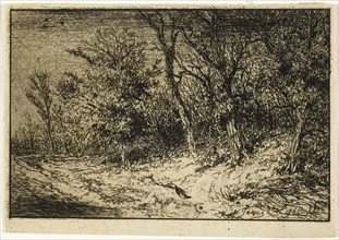 Road at the Edge of a Wood, 1846, Charles Émile Jacque, French, 1813-1894, France, Etching,