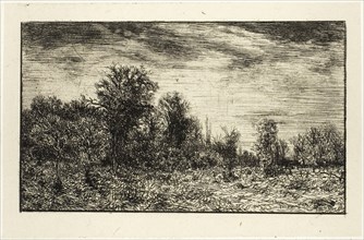 Edge of a Wood, under Cloudy Sky, 1846, Charles Émile Jacque, French, 1813-1894, France, Etching on