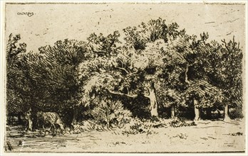 A Part of the Forest of Fontainebleau, 1849, Charles Émile Jacque, French, 1813-1894, France,