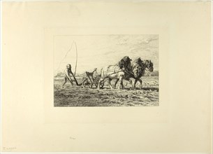 Plowing, c. 1865, Charles Émile Jacque, French, 1813-1894, France, Etching on ivory laid paper, 154