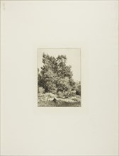 Landscape with Cowherd, c. 1865, Charles Émile Jacque, French, 1813-1894, France, Etching on ivory
