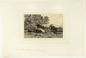 Dutch Cows, c. 1865, Charles Émile Jacque, French, 1813-1894, France, Etching on ivory laid paper,