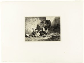 Rooster and Hens, c. 1864, Charles Émile Jacque, French, 1813-1894, France, Etching, drypoint and