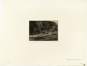 Orchard, c. 1864, Charles Émile Jacque, French, 1813-1894, France, Etching and plate tone on ivory