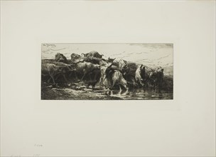 Cows Drinking from the River, 1878, Charles Émile Jacque, French, 1813-1894, France, Etching and