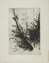 In a Wood, c. 1885, Alphonse Legros, French, 1837-1911, France, Drypoint and plate tone on ivory