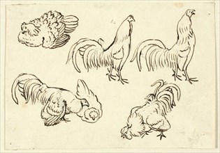 Sketches of Poultry, n.d., Attributed to Henry Stacy Marks, English, 1829-1898, England, Pen and