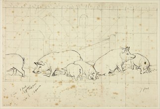 Pigs, n.d., Henry Stacy Marks, English, 1829-1898, England, Pen and brown ink, over graphite,