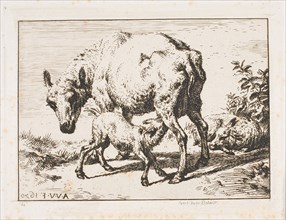 The Ewe with Two Lambs, 1850, Charles Meryon (French, 1821-1868), after Adriaen van de Velde