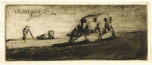 A Sheep Grazing, 1849, Jean François Millet (French, 1814-1875), printed by Auguste Delâtre