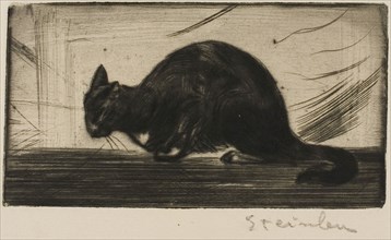 Cat Arching Its Back, 1898, Théophile-Alexandre Steinlen, French, born Switzerland, 1859-1923,