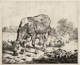 A Cow and Three Sheep, n.d., Adriaen van de Velde, Dutch, 1636-1672, Holland, Etching on paper, 134