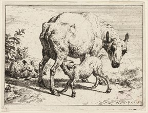 The Lamb, 1670, Adriaen van de Velde, Dutch, 1636-1672, Holland, Etching in black on ivory wove