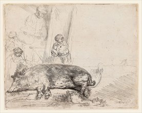 The Hog, 1643, Rembrandt van Rijn, Dutch, 1606-1669, Holland, Etching and drypoint on paper, 143 x