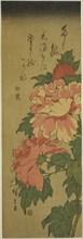 Peonies, c. 1843/47, Utagawa Hiroshige ?? ??, Japanese, 1797-1858, Japan, Color woodblock print,