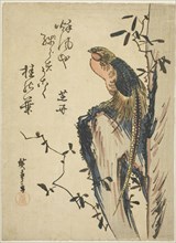 Golden pheasant, 1830s, Utagawa Hiroshige ?? ??, Japanese, 1797-1858, Japan, Color woodblock print,