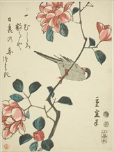 Sparrow on camellia branch, c. 1847/52, Utagawa Hiroshige II (Shigenobu), Japanese, 1826–1869,
