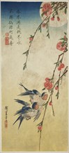 Swallows, pleach blossoms, and full moon, 1830s, Utagawa Hiroshige ?? ??, Japanese, 1797-1858,